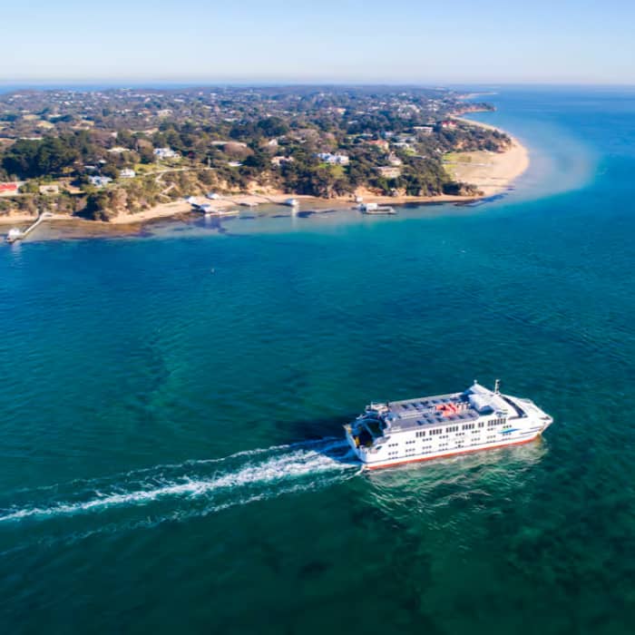 Bay Sightseeing Tour Get Your Guide