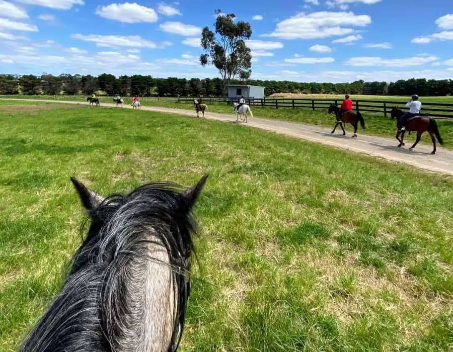 Horse Riding in Melbourne and Victoria