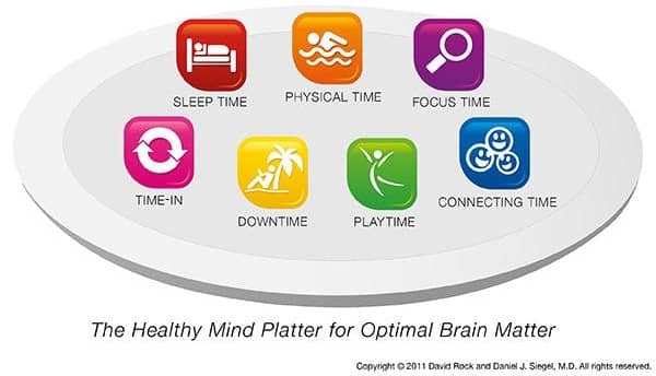 bowl of vegetable salads