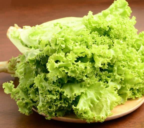 How to tell if your lettuce is bad.