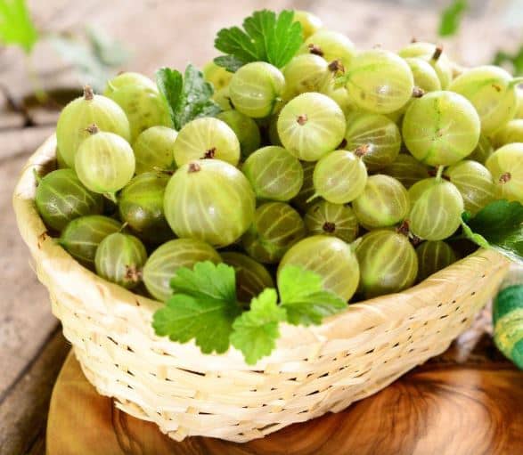 What do Gooseberries taste like?