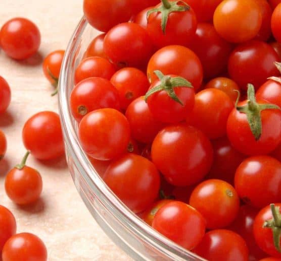When to pick cherry tomatoes