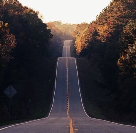 asphalt road between trees