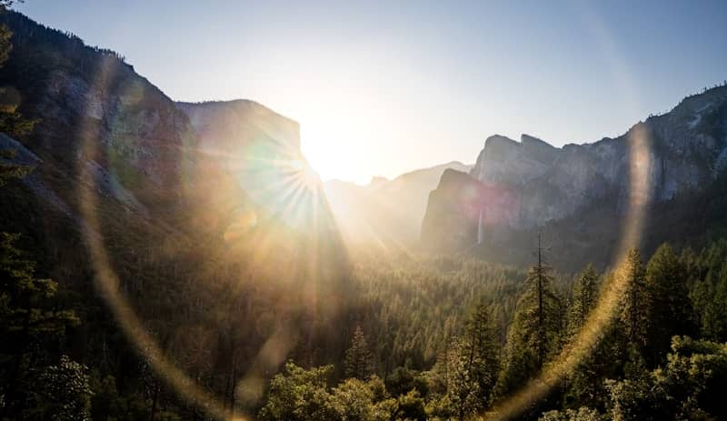 Low sun with lens flare over a forested valley and granite cliffs in Yosemite