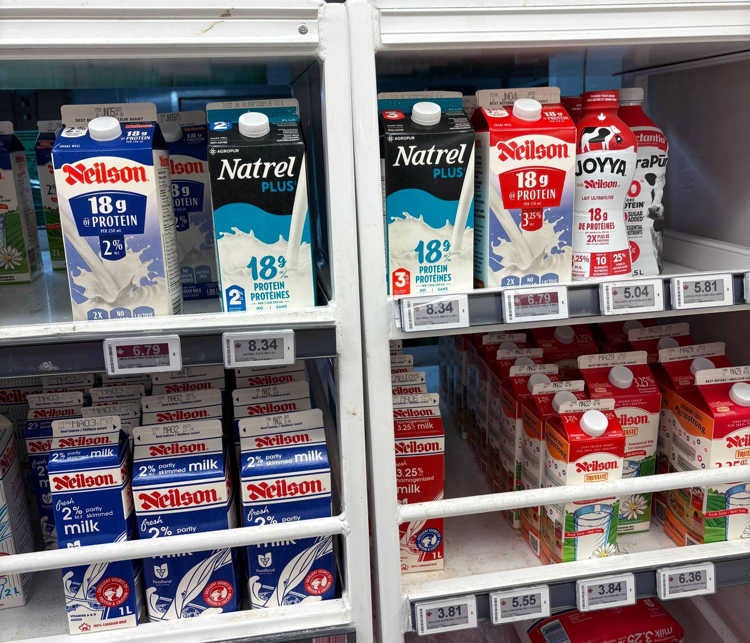 High Protein Milk Options