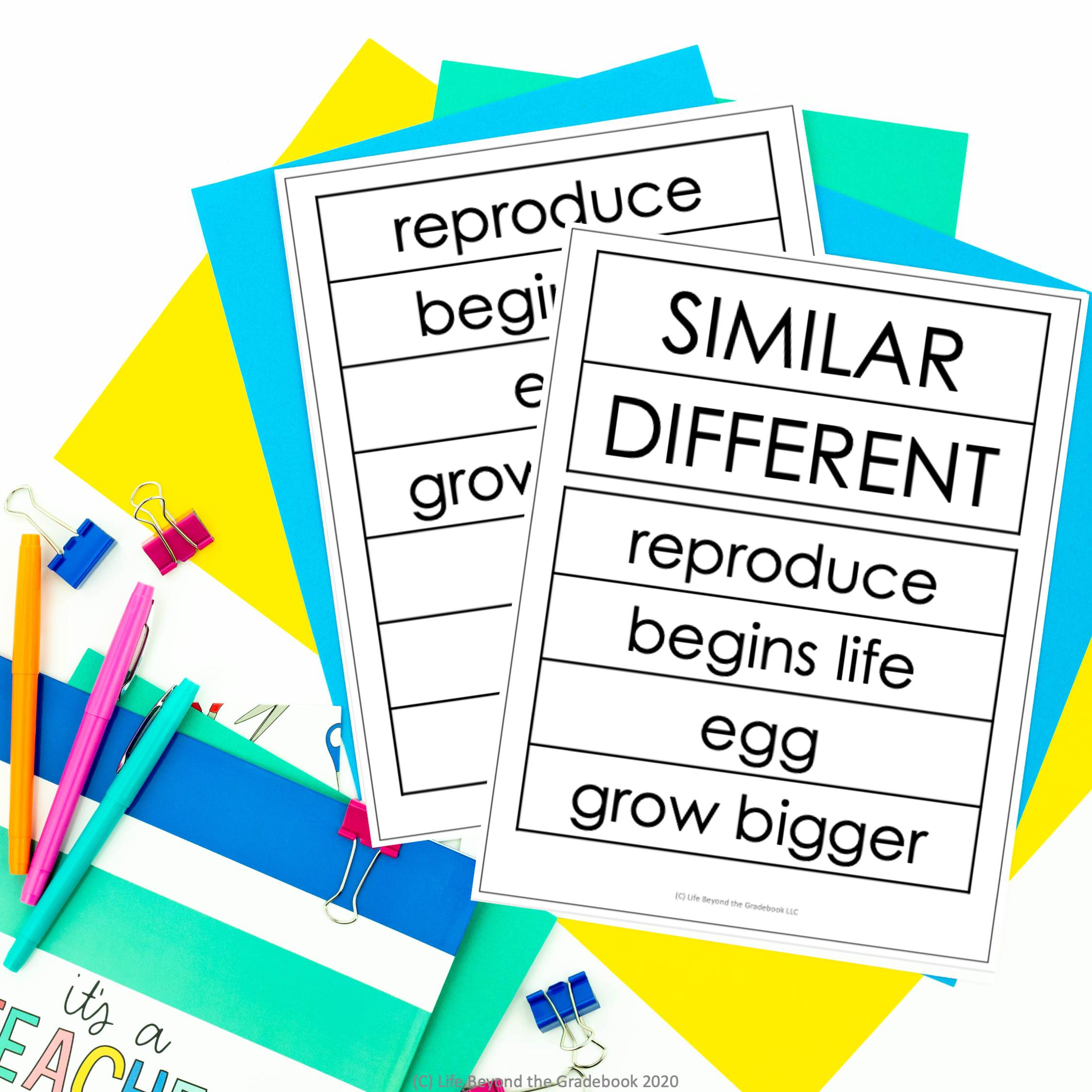 Non Verbal Reasoning Lesson Plan