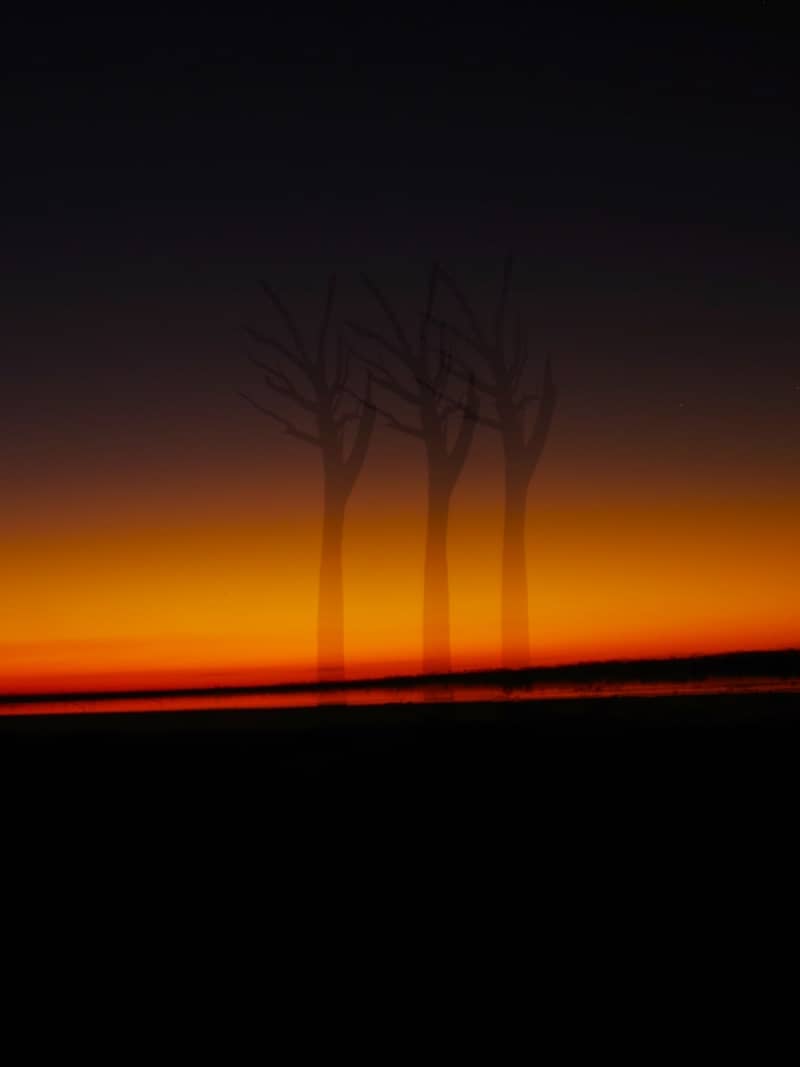 Three bare trees silhouetted against a vibrant sunset