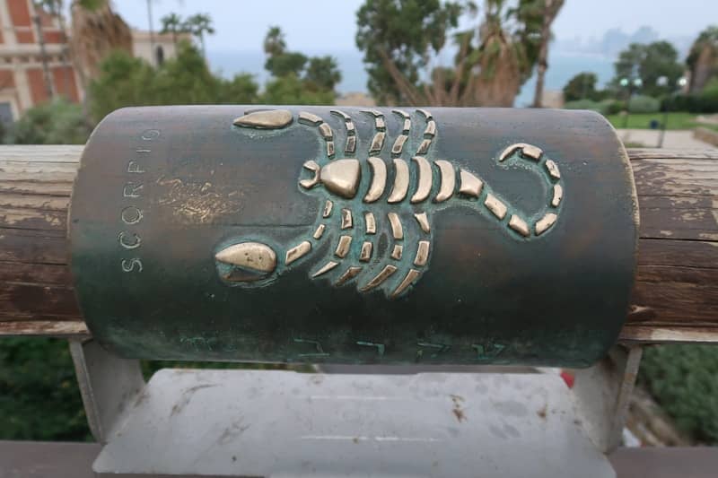 Scorpio zodiac sign on a cylindrical object