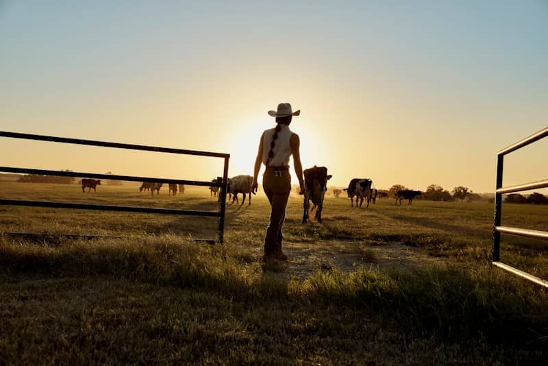 Woman walking through a pasture at sunrise