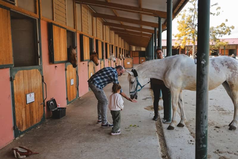Man and child feeding white horse at stable.