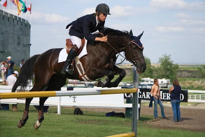 A man riding a horse jumps over an obstacle.