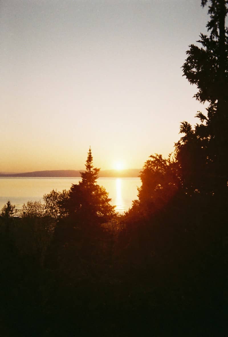 Low sun over a calm lake framed by dark evergreen tree silhouettes