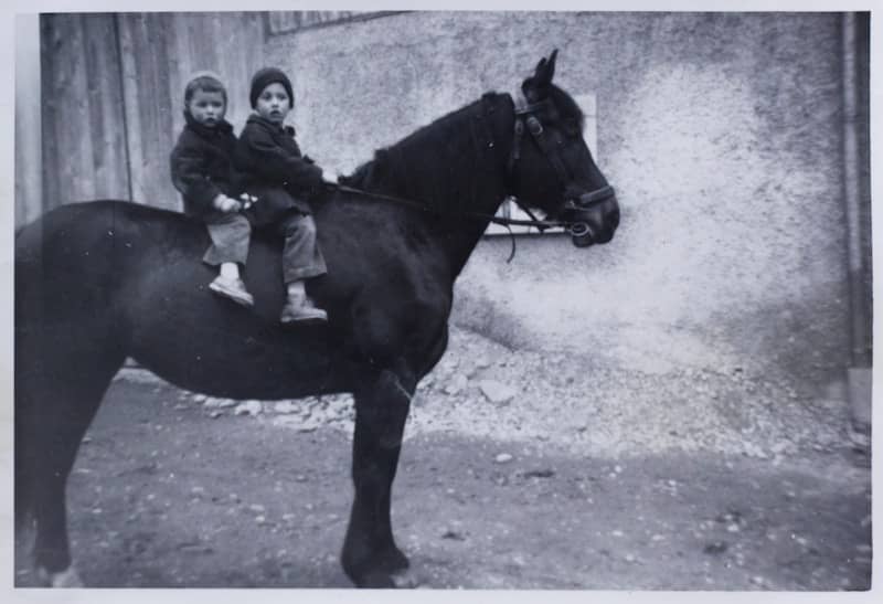 Two children ride on the back of a dark horse.