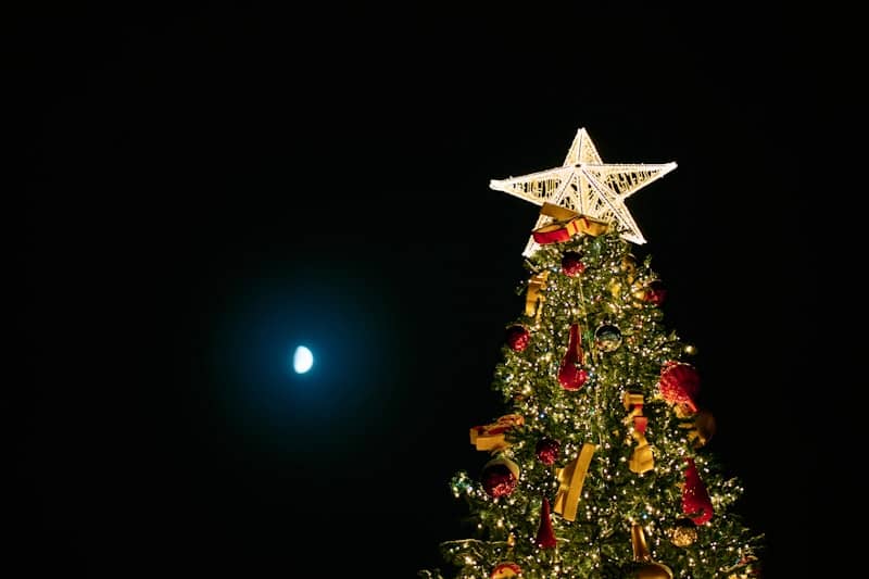 A decorated christmas tree with a star at night.