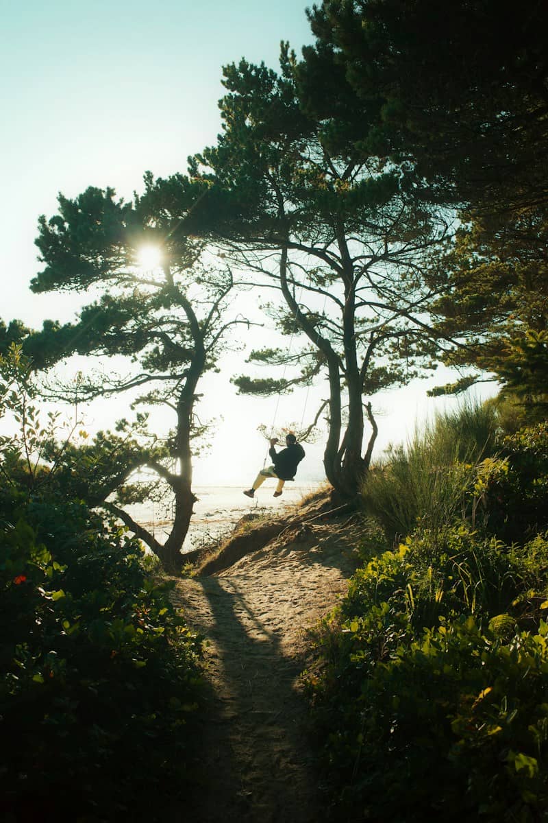 Person swinging on a rope swing between trees near ocean