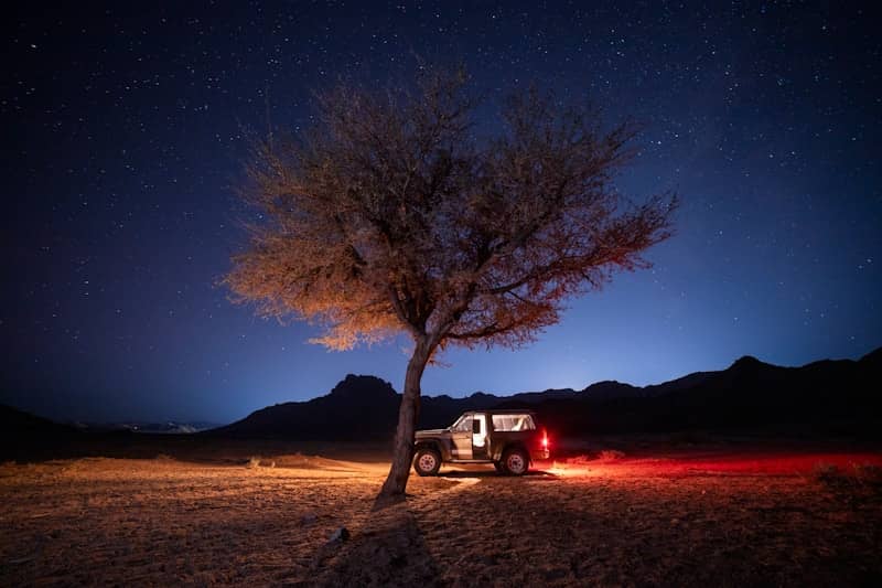 Off-road vehicle under tree in a starry desert night.