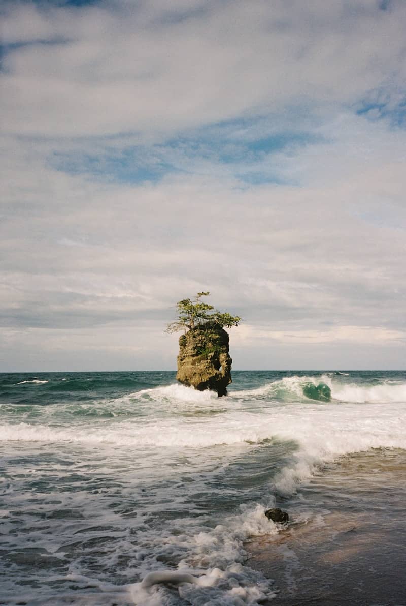 Tree growing on a rock in the ocean waves