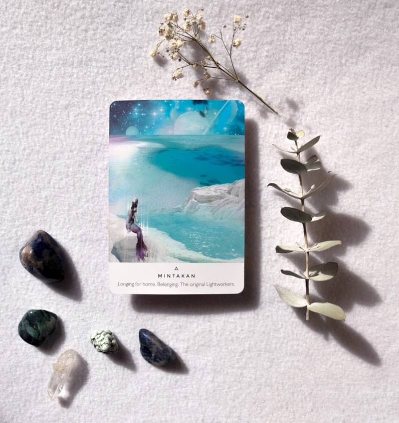 Tarot card with crystals and dried flowers