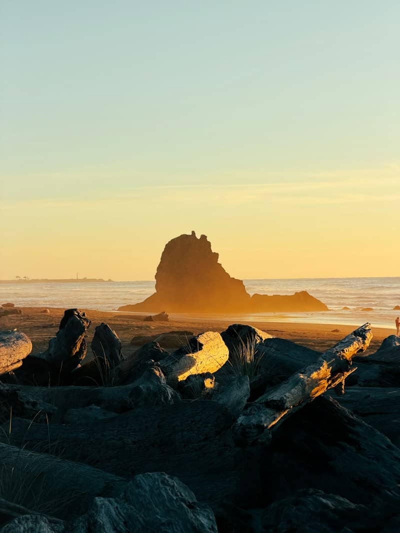 Large driftwood logs on a sandy beach with a sea stack in the warm golden hour light