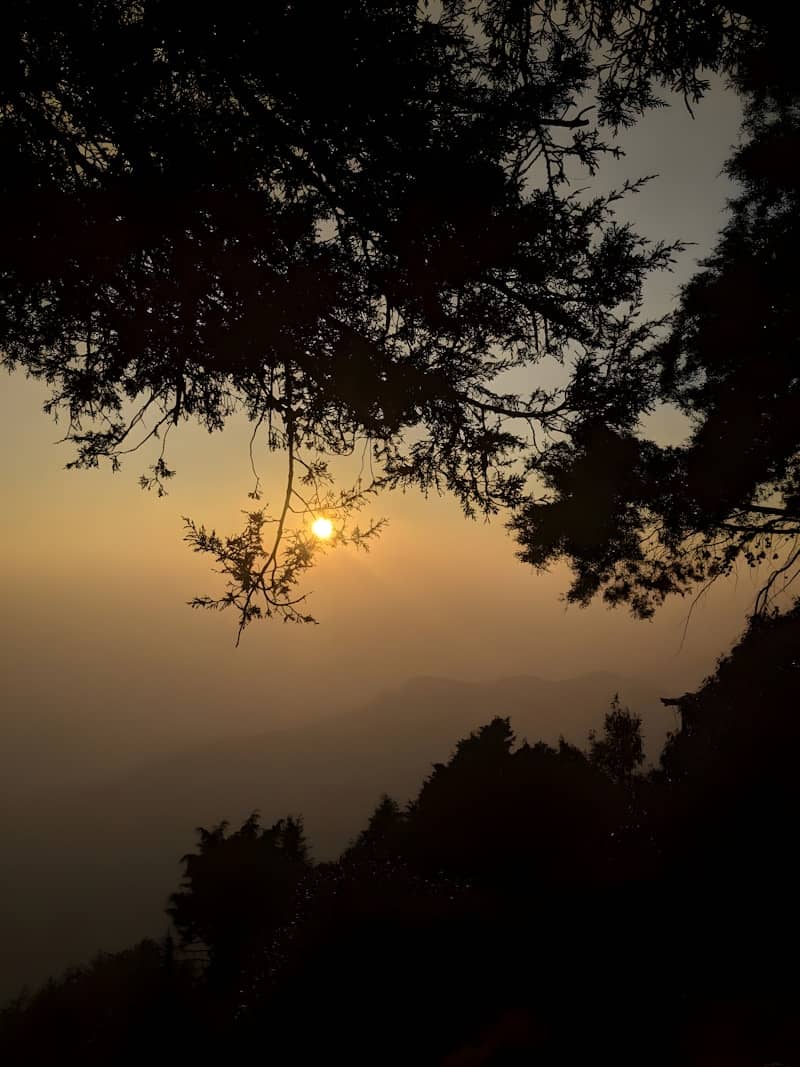 Low sun glowing behind silhouetted tree branches above a hazy mountain landscape.