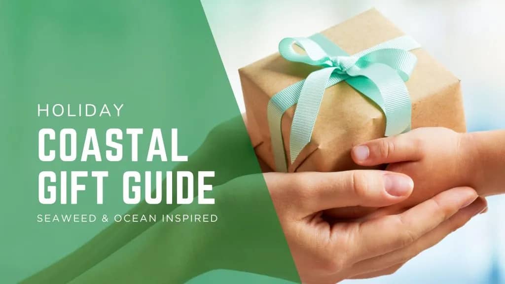 seaweed ocean-inspired gift list