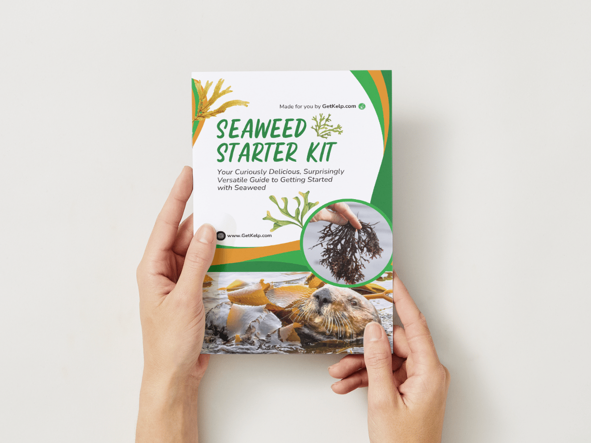 Meet the new Seaweed Starter Kit