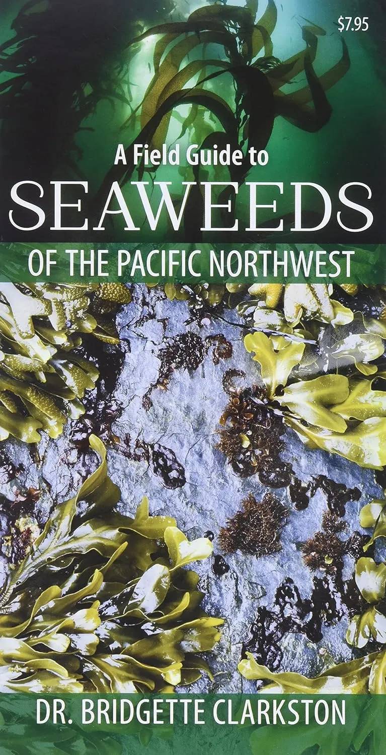 Seaweed Field Guide