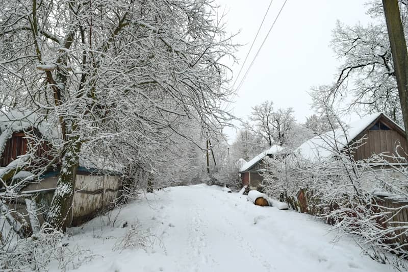 Snow-covered road leads through a village.