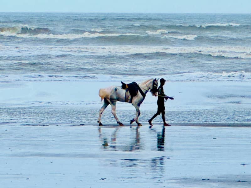 Person walking a horse on a wet beach.