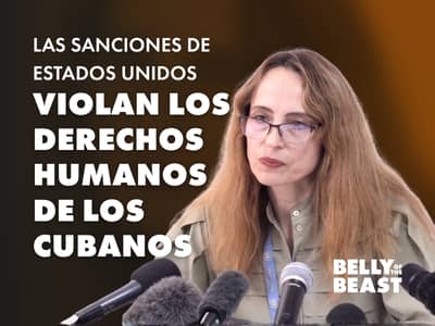Alena Douhan, Relatora Especial de la ONU sobre el Impacto Negativo de las Medidas Coercitivas Unilaterales en los Derechos Humanos