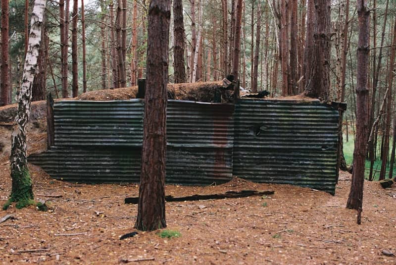 Camouflaged structure in a dense forest setting