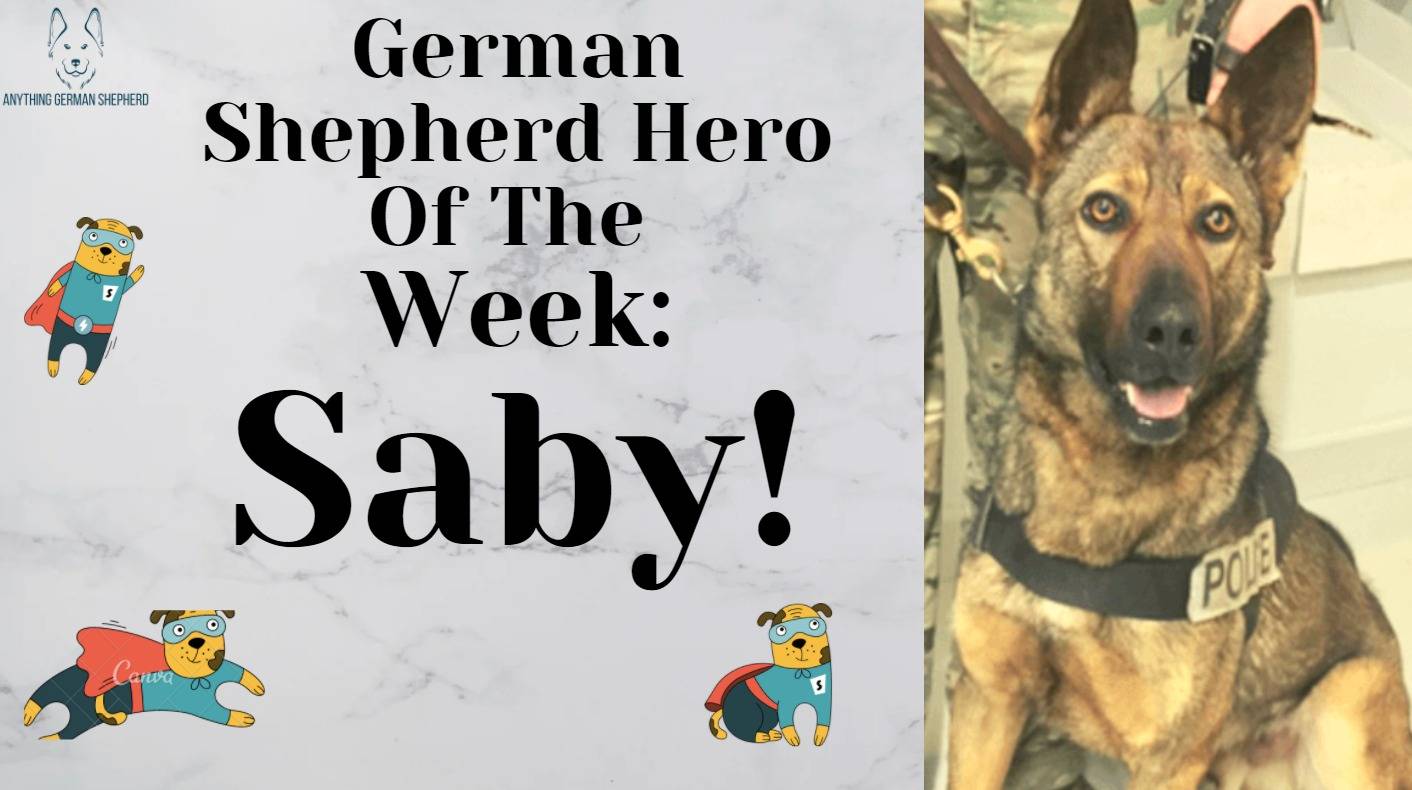 gsd-of-the-week