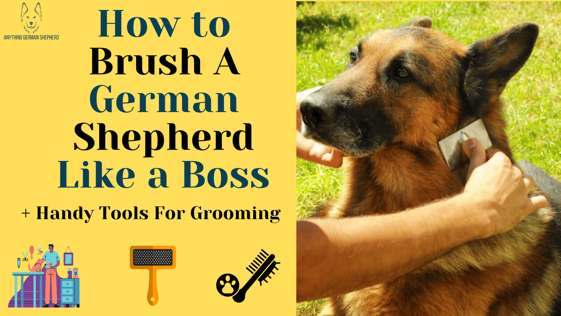 german-shepherd