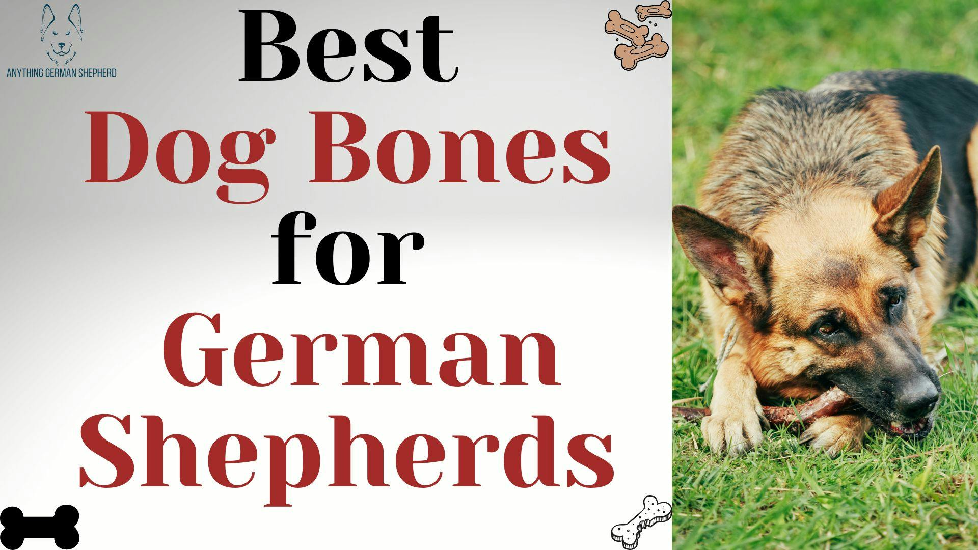 best-bones-for-a-german-shepherd