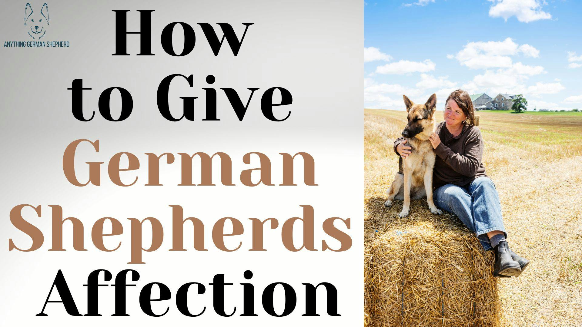 How to Give German Shepherds Affection