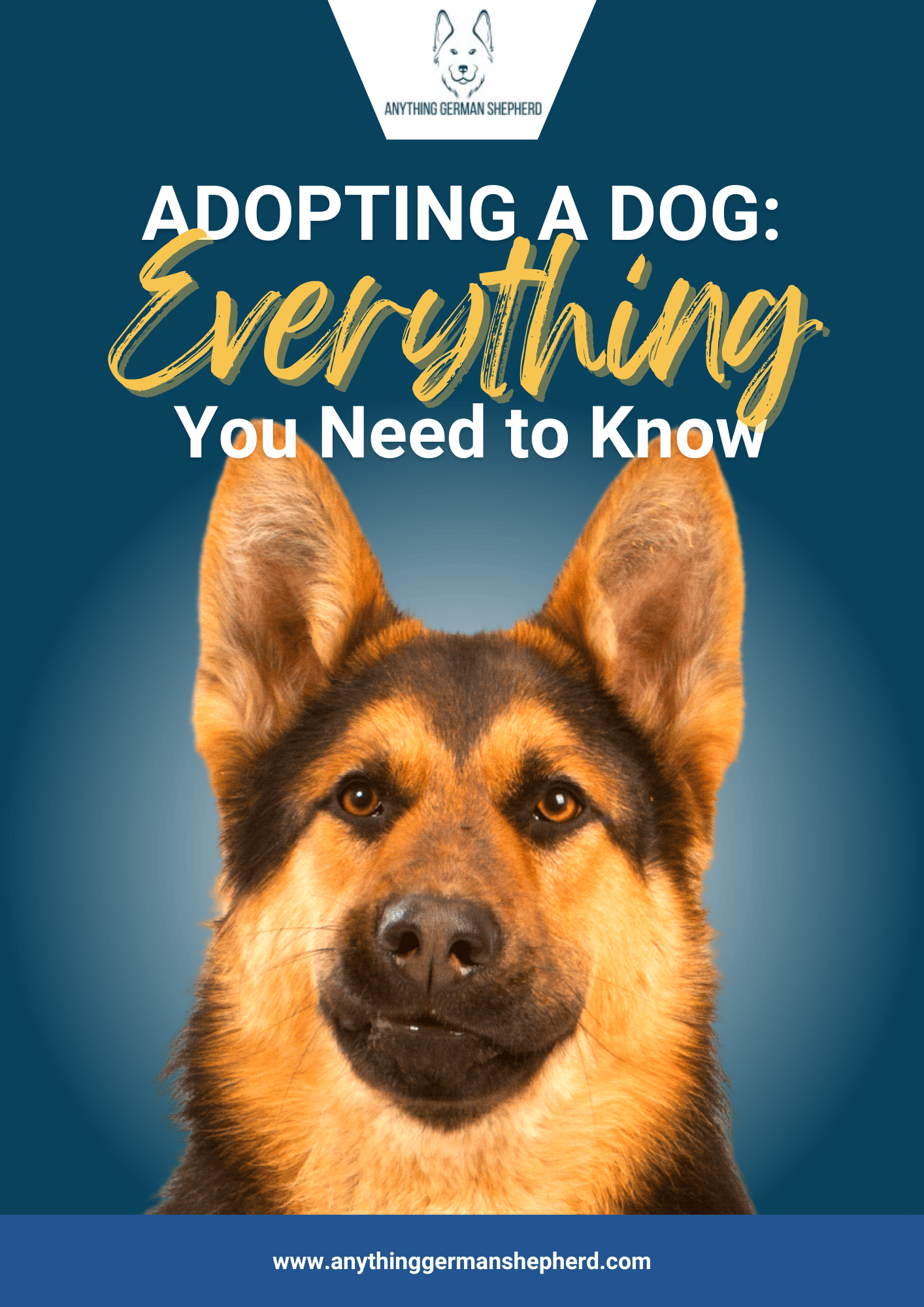 Adopting a Dog Everything You Need To Know