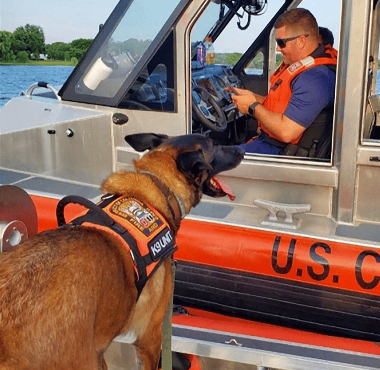 kimber-the-search-and-rescue-dog