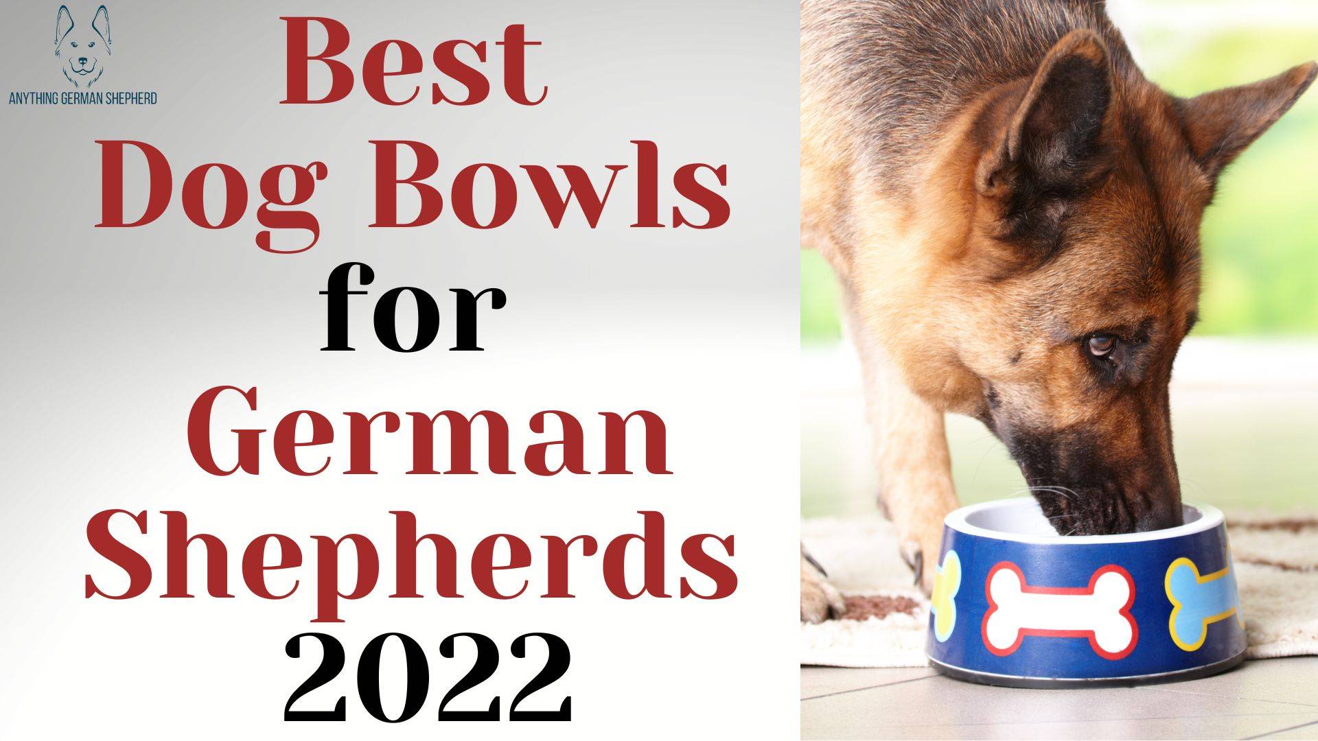 How to Give German Shepherds Affection