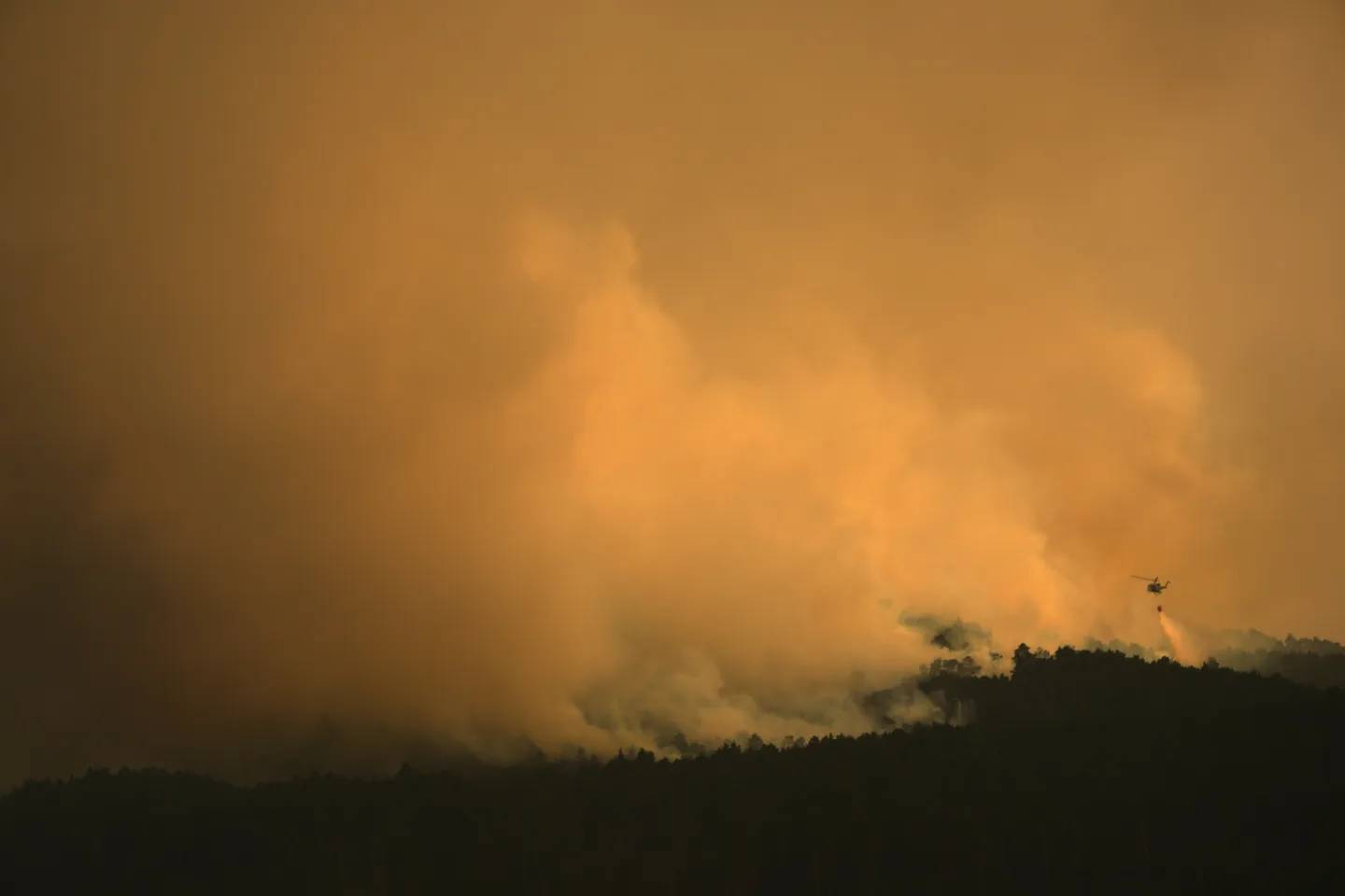 Spain wildfire