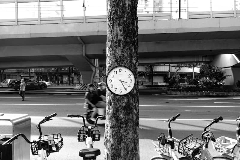 A clock is attached to a tree by the street.