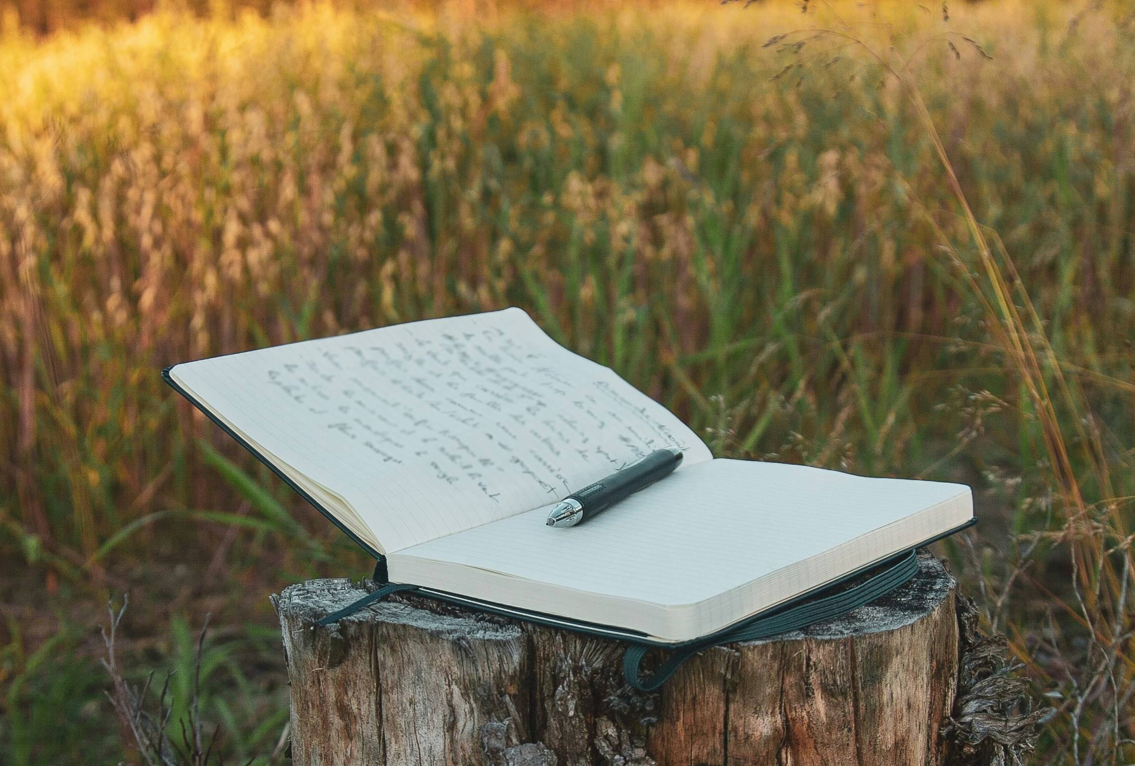 Open book on a field 