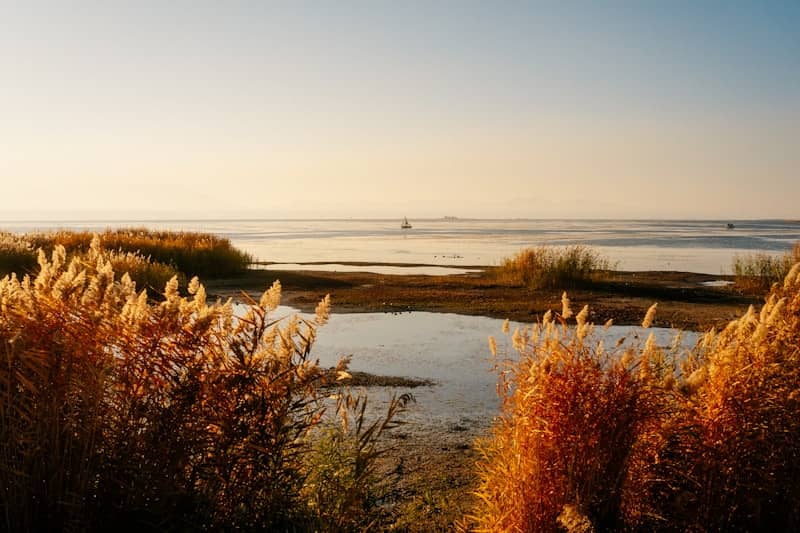 Landscape of fall beach 