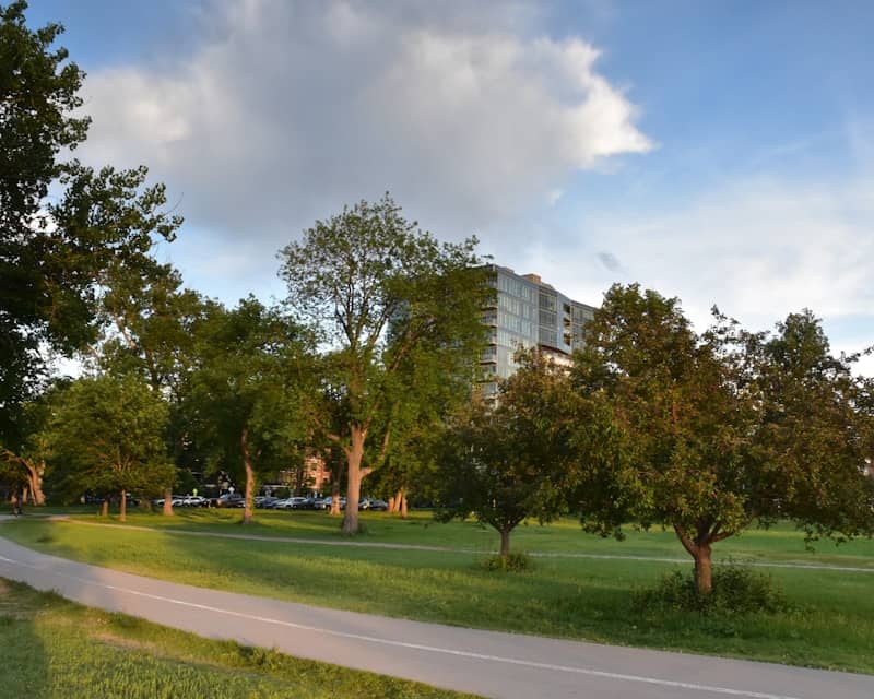 Trees and a building in a park on a sunny day.