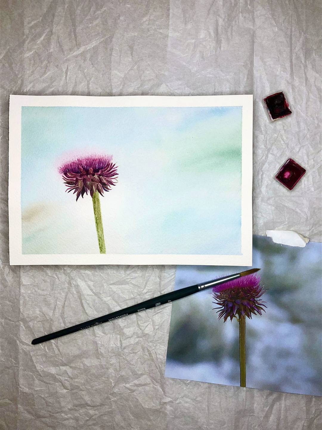 watercolor painting of the top of a thistle flower