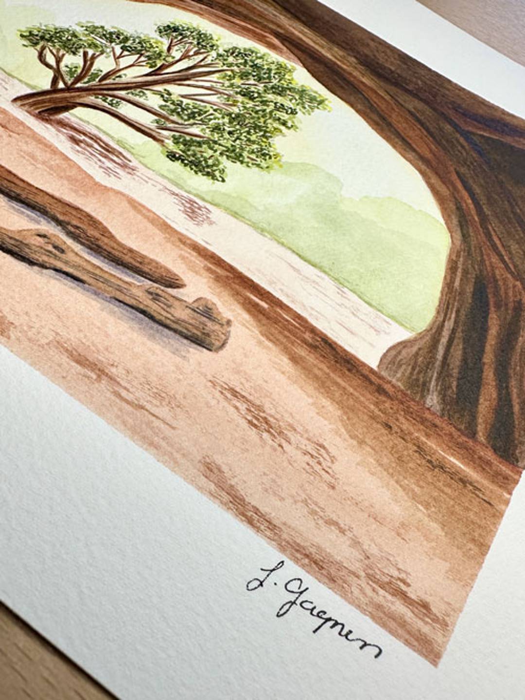close up of bottom right corner of watercolor painting of a pine tree through a desert arch