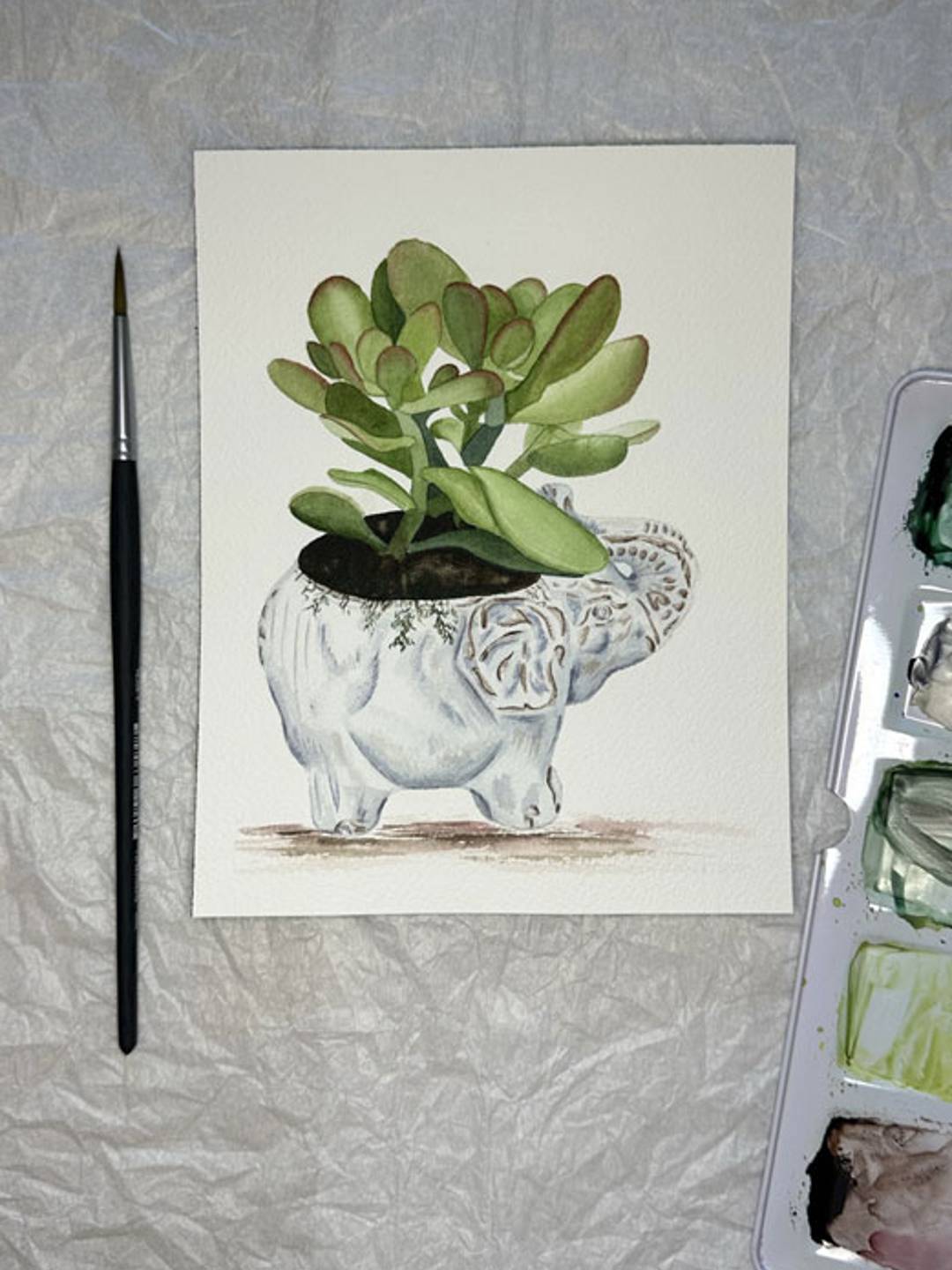 watercolor painting of a succulent plant in a while elephant clay planter