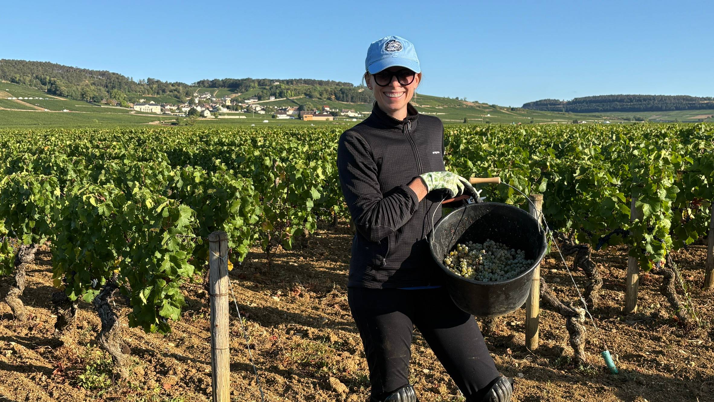 Suzi in Volnay, 2026