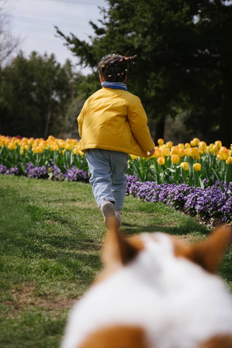 Child in yellow jacket runs through a field of tulips.