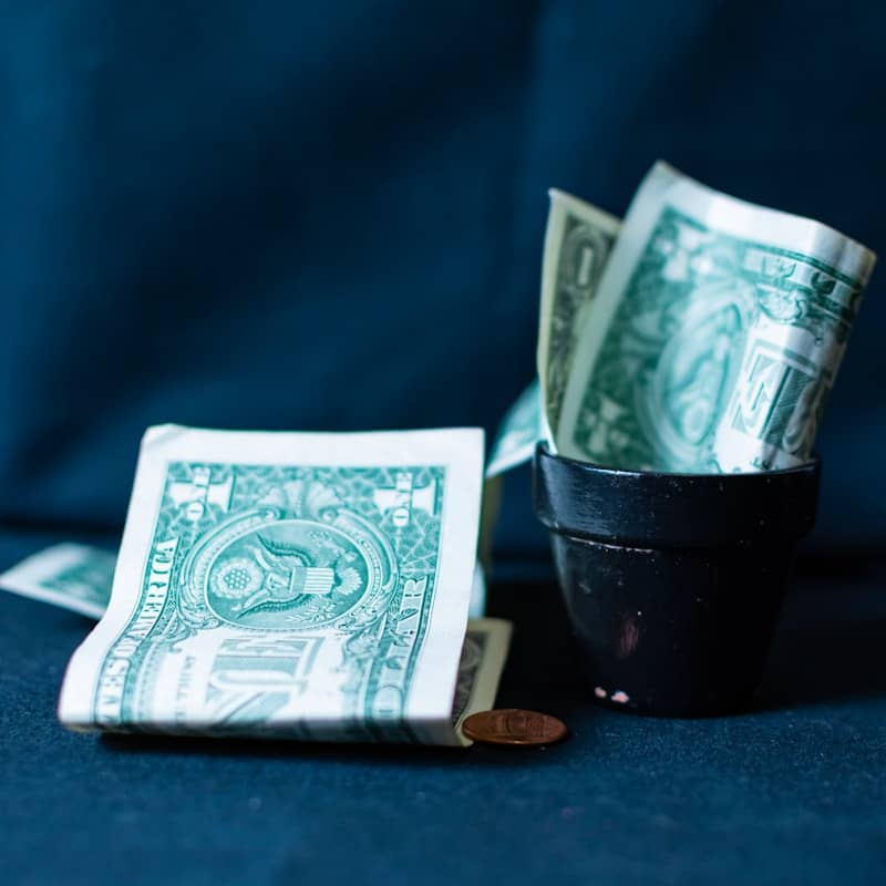 Us dollar bills in a small pot
