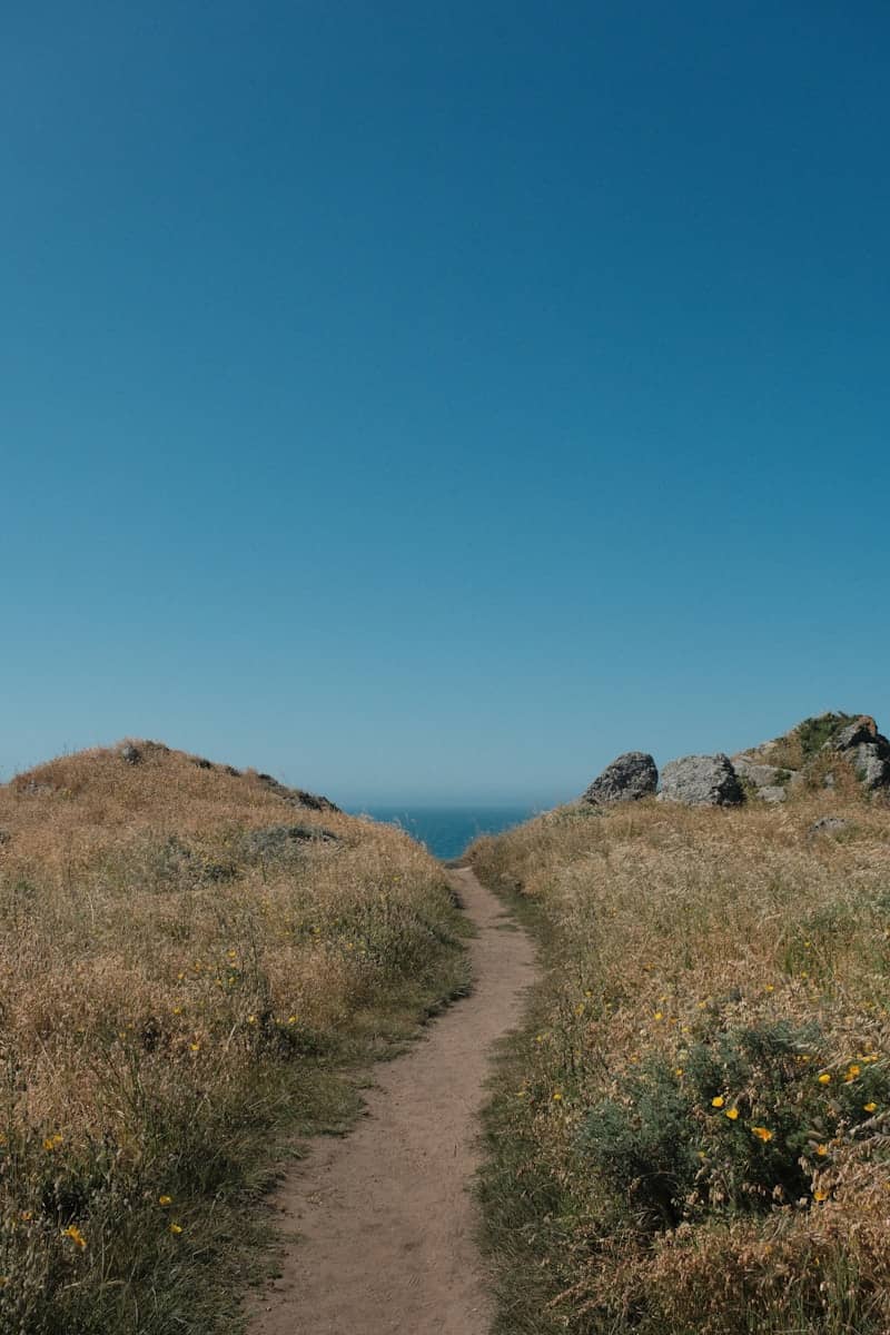 Narrow dirt path through dry grass leading to the ocean.